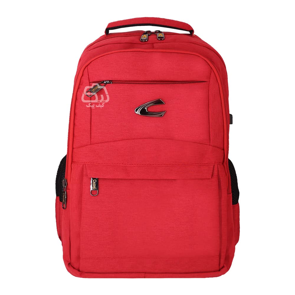 laptop-backpack-15-6-inch-camel-SR755-5-1000.jpg