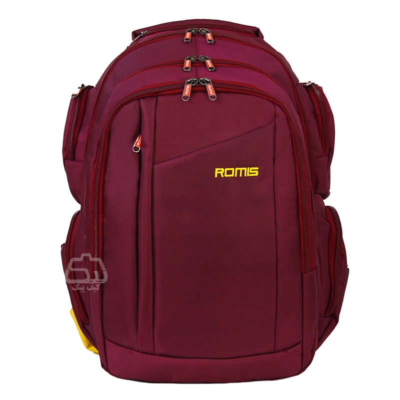 laptop-backpack-2490-11.jpg