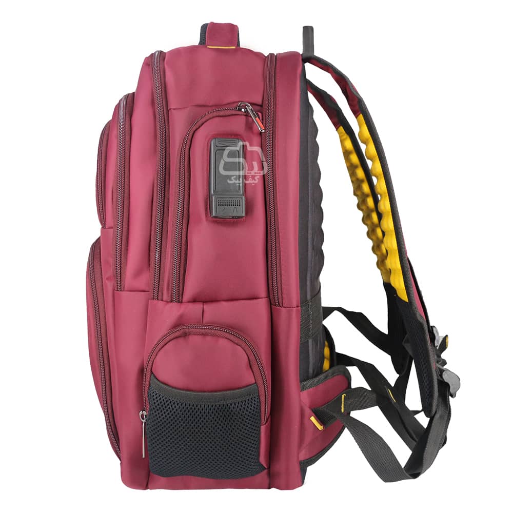 laptop-backpack-cat-C2793-15-6-inch-2-1000.jpg
