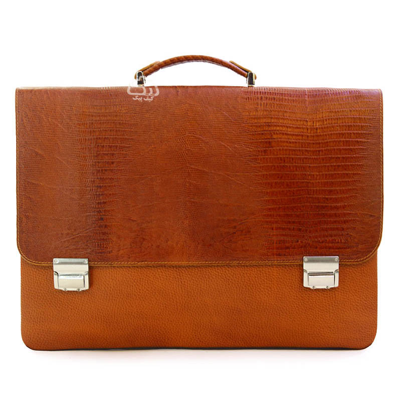 briefcase-1922-4.jpg