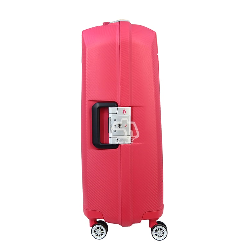luggage-S24-4.jpg
