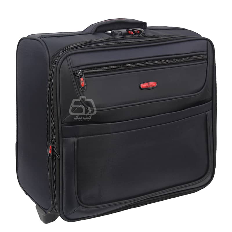 pilot-luggage-2011-2.jpg
