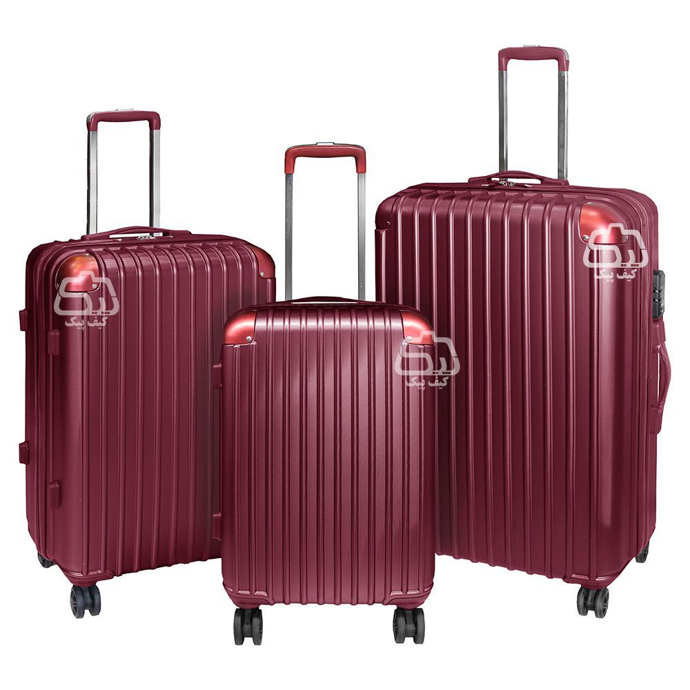 Fiberglass-Luggage-Trip-4-Wheeal-2677-2-1000.jpg